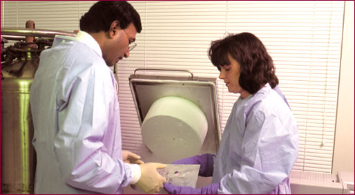 Meet Dr. Dipnarine Maharaj Maharaj institute of inmmune regenerative medicine- medicine regenerative-Cancer-Blood disorders-chronic inflammatory- autoimmune diseases-environmental exposure-toxins-radiation-Immune dysfunction-chronic infections-wellness-anti inflammatory program-Boynton beach florida